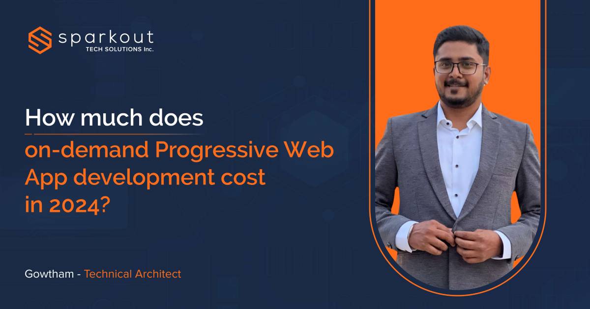 Web App development cost in 2024?