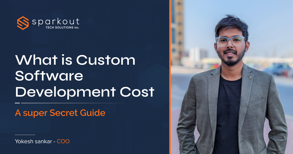 Custom Software Development Cost